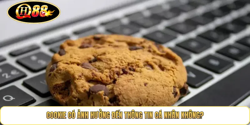 Cookie có ảnh hưởng đến thông tin cá nhân không?