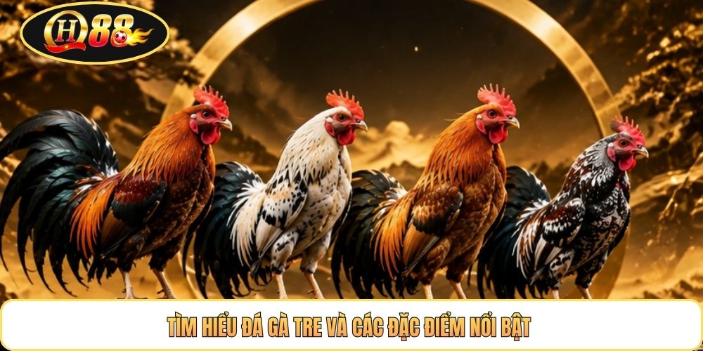 Tìm hiểu đá gà tre và các đặc điểm nổi bật 
